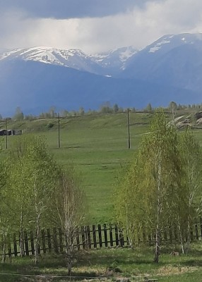 фото4.jpg