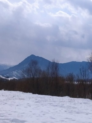 Филаретова гора.jpg