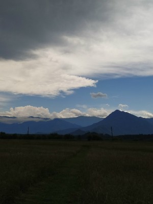 фото4.jpg